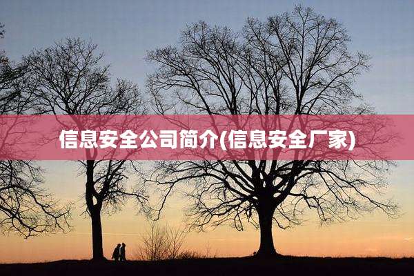 信息安全公司简介(信息安全厂家)