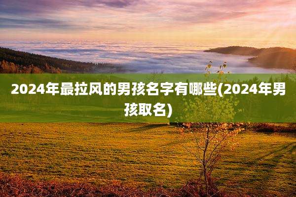 2024年最拉风的男孩名字有哪些(2024年男孩取名)