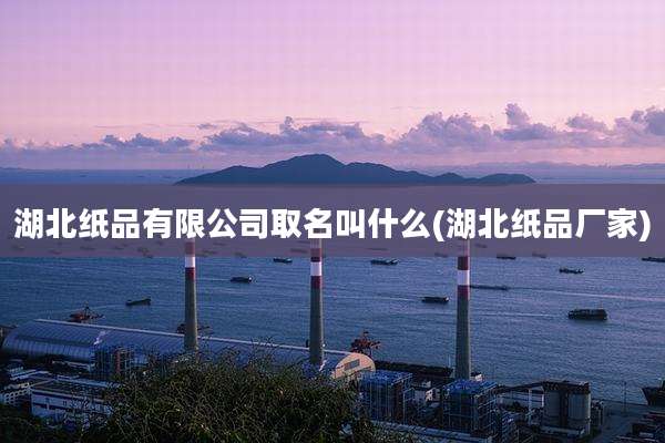 湖北纸品有限公司取名叫什么(湖北纸品厂家)