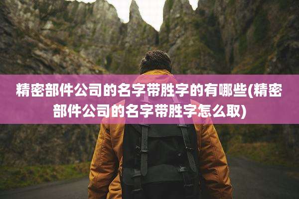 精密部件公司的名字带胜字的有哪些(精密部件公司的名字带胜字怎么取)