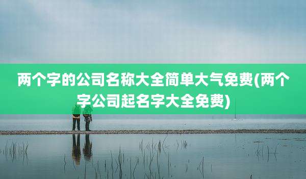 两个字的公司名称大全简单大气免费(两个字公司起名字大全免费)