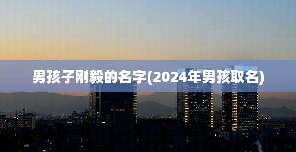 男孩子刚毅的名字(2024年男孩取名)