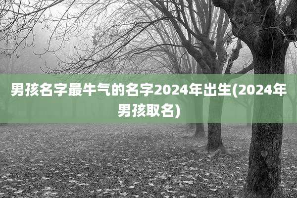 男孩名字最牛气的名字2024年出生(2024年男孩取名)
