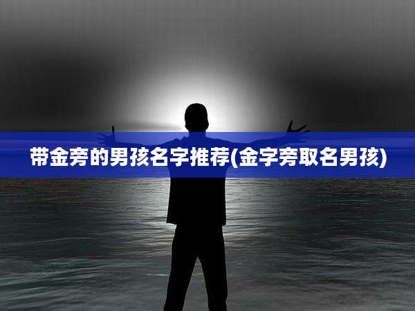 带金旁的男孩名字推荐(金字旁取名男孩)