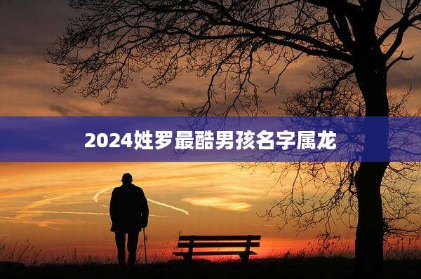 2024姓罗最酷男孩名字属龙