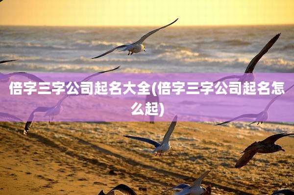 倍字三字公司起名大全(倍字三字公司起名怎么起)