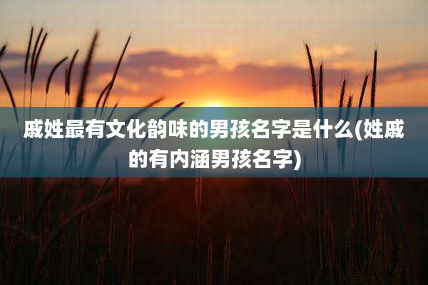 戚姓最有文化韵味的男孩名字是什么(姓戚的有内涵男孩名字)