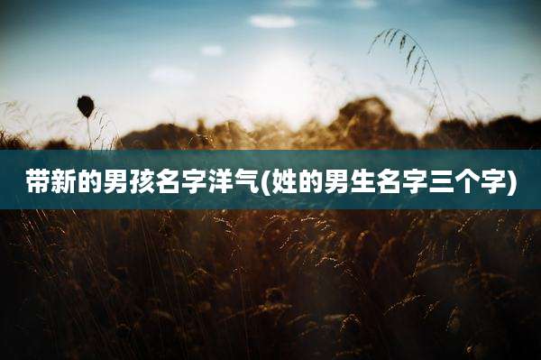 带新的男孩名字洋气(姓的男生名字三个字)