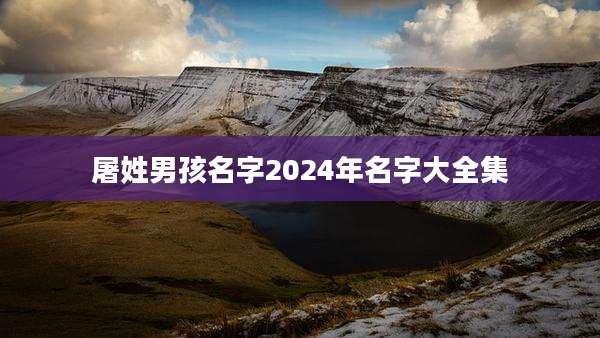 屠姓男孩名字2024年名字大全集