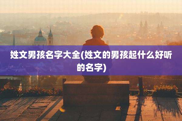 姓文男孩名字大全(姓文的男孩起什么好听的名字)