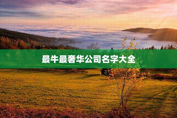 最牛最奢华公司名字大全