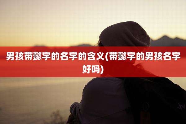 男孩带懿字的名字的含义(带懿字的男孩名字好吗)