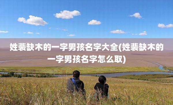 姓裴缺木的一字男孩名字大全(姓裴缺木的一字男孩名字怎么取)