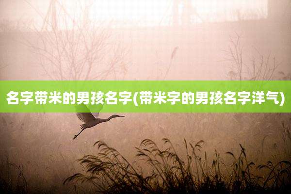 名字带米的男孩名字(带米字的男孩名字洋气)