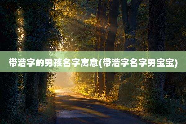 带浩字的男孩名字寓意(带浩字名字男宝宝)