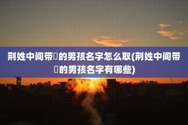 荆姓中间带晞的男孩名字怎么取(荆姓中间带晞的男孩名字有哪些)
