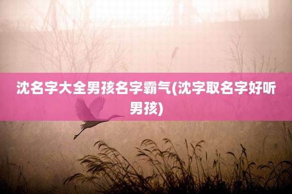 沈名字大全男孩名字霸气(沈字取名字好听男孩)