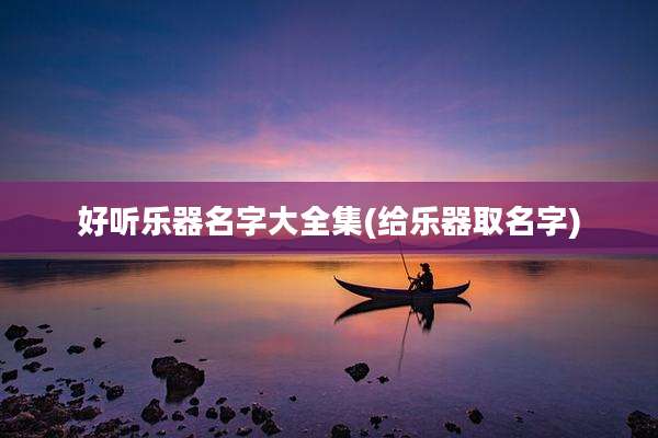好听乐器名字大全集(给乐器取名字)
