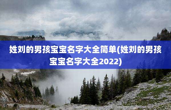 姓刘的男孩宝宝名字大全简单(姓刘的男孩宝宝名字大全2022)
