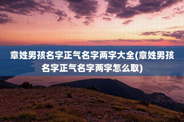 章姓男孩名字正气名字两字大全(章姓男孩名字正气名字两字怎么取)