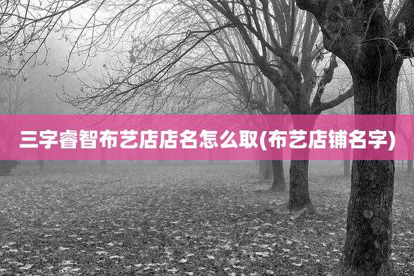 三字睿智布艺店店名怎么取(布艺店铺名字)