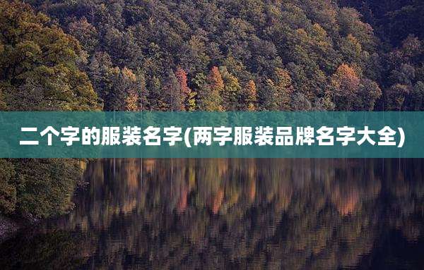 二个字的服装名字(两字服装品牌名字大全)