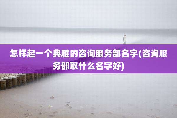 怎样起一个典雅的咨询服务部名字(咨询服务部取什么名字好)