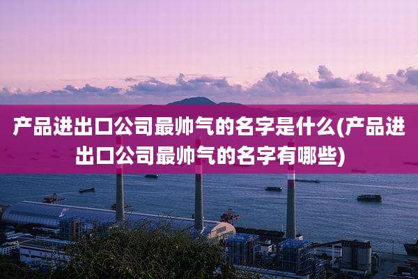 产品进出口公司最帅气的名字是什么(产品进出口公司最帅气的名字有哪些)