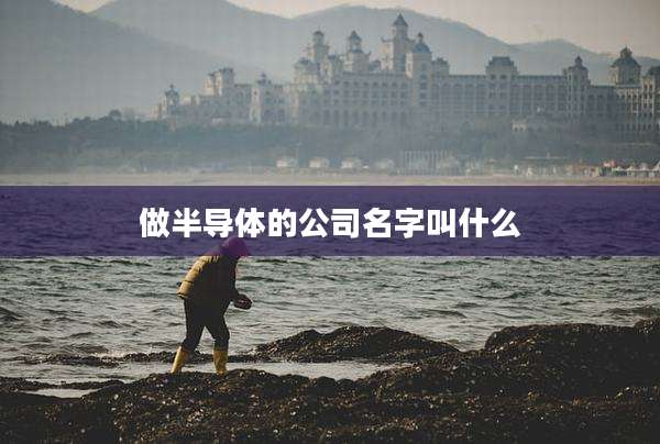 做半导体的公司名字叫什么