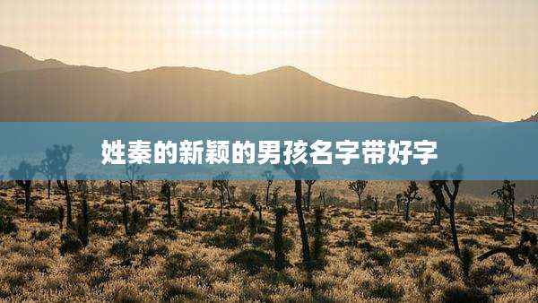 姓秦的新颖的男孩名字带好字