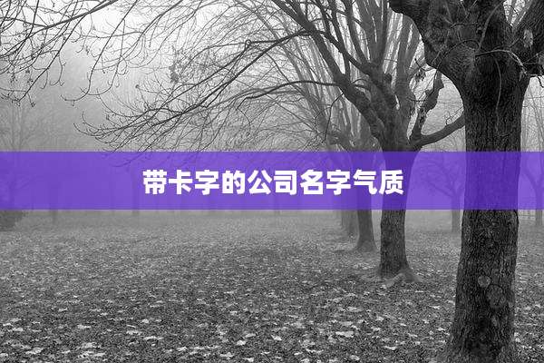 带卡字的公司名字气质