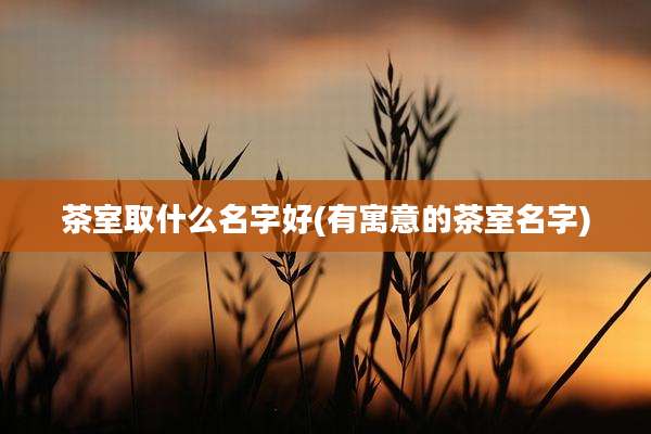 茶室取什么名字好(有寓意的茶室名字)