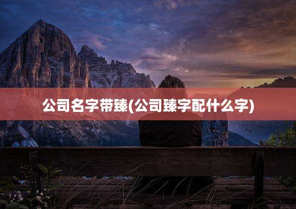 公司名字带臻(公司臻字配什么字)
