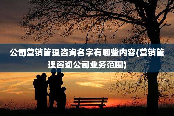 公司营销管理咨询名字有哪些内容(营销管理咨询公司业务范围)