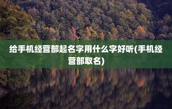 给手机经营部起名字用什么字好听(手机经营部取名)