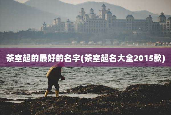 茶室起的最好的名字(茶室起名大全2015款)