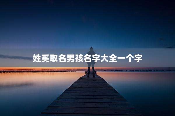 姓奚取名男孩名字大全一个字