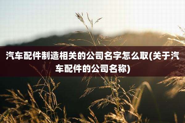 汽车配件制造相关的公司名字怎么取(关于汽车配件的公司名称)