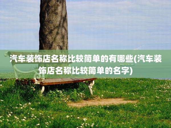 汽车装饰店名称比较简单的有哪些(汽车装饰店名称比较简单的名字)