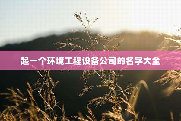 起一个环境工程设备公司的名字大全
