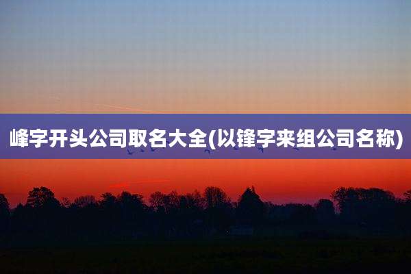 峰字开头公司取名大全(以锋字来组公司名称)