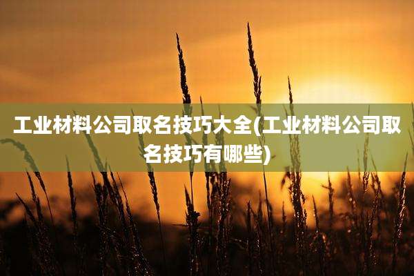 工业材料公司取名技巧大全(工业材料公司取名技巧有哪些)