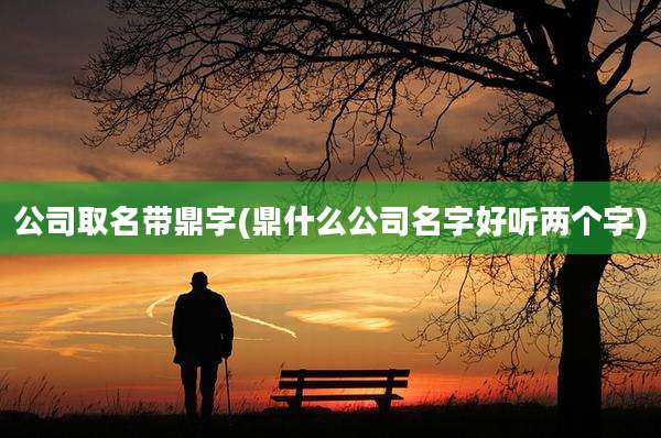 公司取名带鼎字(鼎什么公司名字好听两个字)