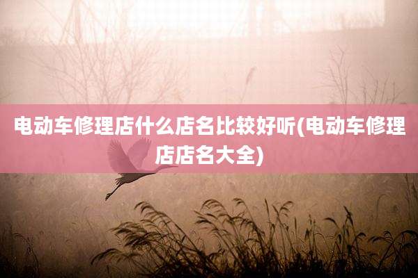 电动车修理店什么店名比较好听(电动车修理店店名大全)