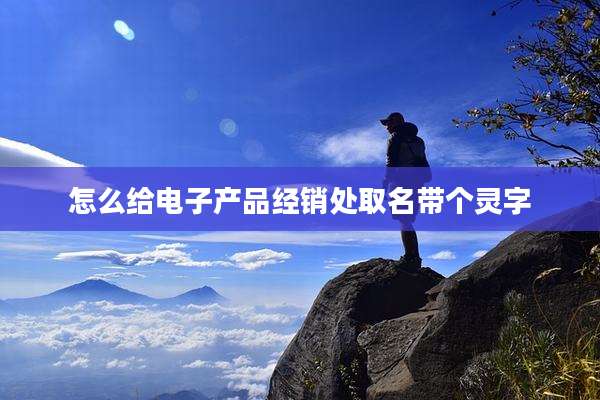 怎么给电子产品经销处取名带个灵字