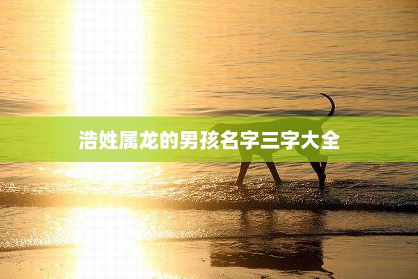 浩姓属龙的男孩名字三字大全