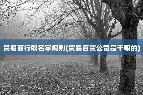 贸易商行取名字规则(贸易百货公司是干嘛的)