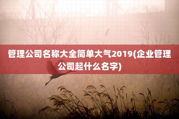 管理公司名称大全简单大气2019(企业管理公司起什么名字)
