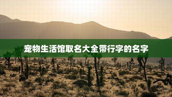 宠物生活馆取名大全带行字的名字