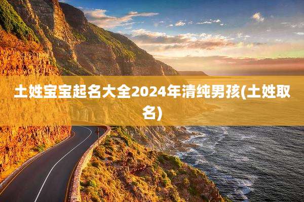 土姓宝宝起名大全2024年清纯男孩(土姓取名)